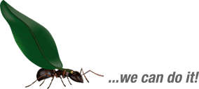 ameise_slide